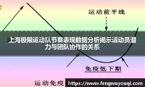 上海极限运动队节奏表现数据分析揭示运动员潜力与团队协作的关系