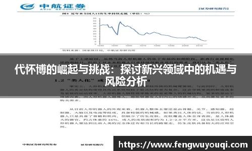 代怀博的崛起与挑战：探讨新兴领域中的机遇与风险分析