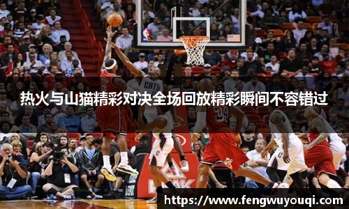 热火与山猫精彩对决全场回放精彩瞬间不容错过